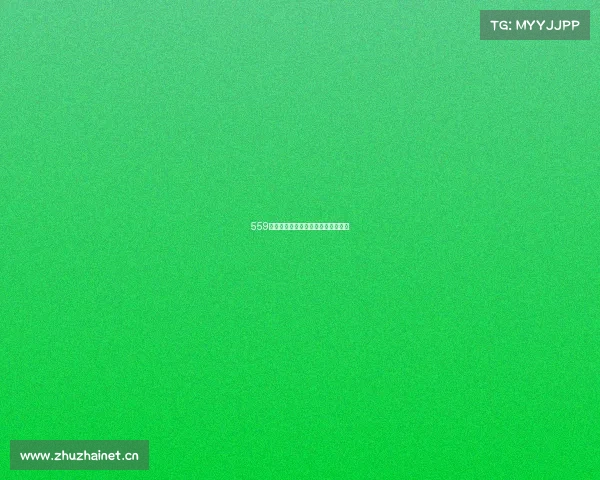 559路线路信息（站点，换乘，首末班）